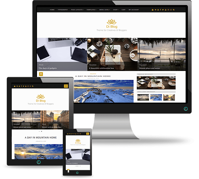 Blog WordPress Theme For Bloggers, Creative Users