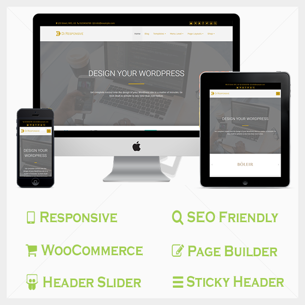 Responsive Pro WordPress Theme